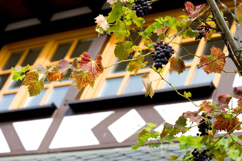 Landgasthof Rebstock Sankt Goar Exteriör bild